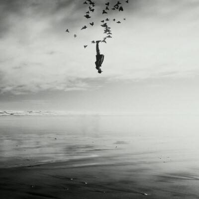 金星棋牌手机app下载